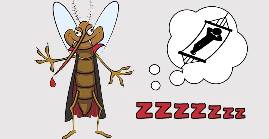 contro le zanzare